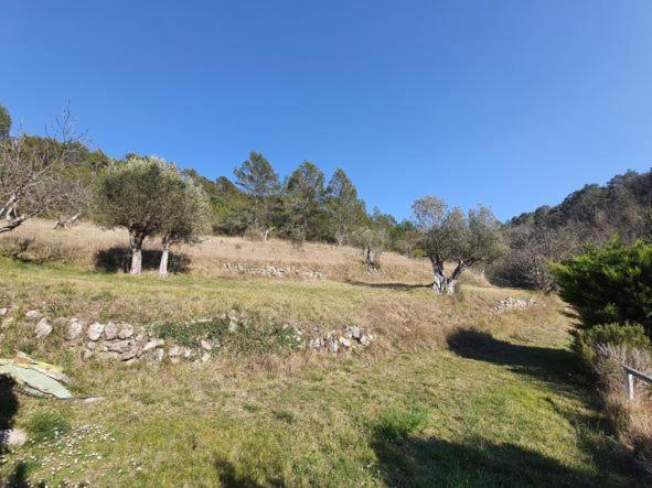 Apartamento La Ferme De Manon Montferrat  Exterior foto